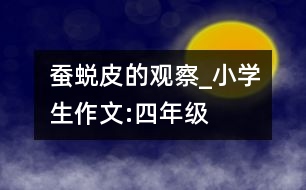 蠶蛻皮的觀察_小學生作文:四年級