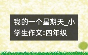 我的一個(gè)星期天_小學(xué)生作文:四年級