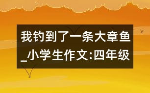 我釣到了一條大章魚_小學(xué)生作文:四年級