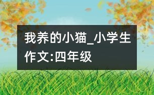 我養(yǎng)的小貓_小學生作文:四年級