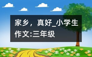 家鄉(xiāng)，真好_小學(xué)生作文:三年級