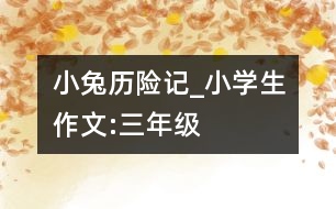 小兔歷險(xiǎn)記_小學(xué)生作文:三年級