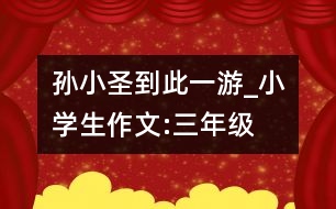 “孫小圣到此一游”_小學(xué)生作文:三年級