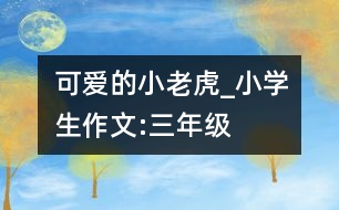 可愛(ài)的“小老虎”_小學(xué)生作文:三年級(jí)