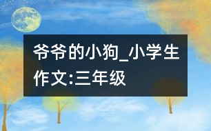 爺爺?shù)男」穇小學(xué)生作文:三年級