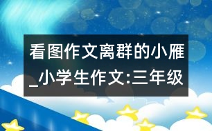 看圖作文離群的小雁_小學生作文:三年級