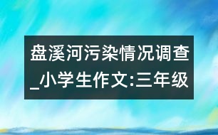 盤溪河污染情況調查_小學生作文:三年級