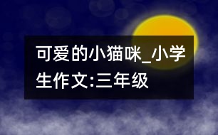 可愛的小貓咪_小學(xué)生作文:三年級