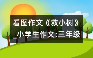 看圖作文《救小樹(shù)》_小學(xué)生作文:三年級(jí)