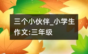 三個(gè)小伙伴_小學(xué)生作文:三年級(jí)