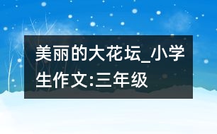 美麗的大花壇_小學生作文:三年級