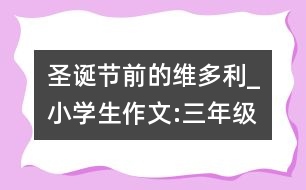 圣誕節(jié)前的維多利_小學生作文:三年級