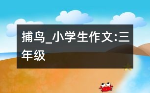 捕鳥_小學(xué)生作文:三年級