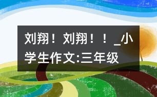 劉翔！劉翔?。小學(xué)生作文:三年級(jí)