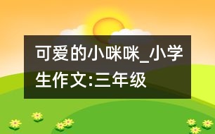 可愛的小咪咪_小學(xué)生作文:三年級(jí)