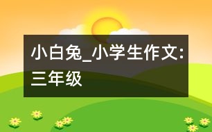 小白兔_小學生作文:三年級