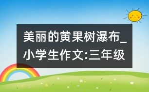 美麗的黃果樹瀑布_小學生作文:三年級