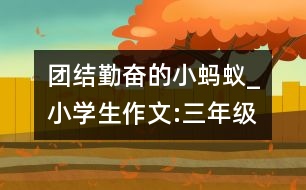 團結(jié)勤奮的小螞蟻_小學生作文:三年級