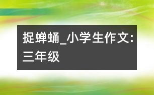 捉蟬蛹_小學生作文:三年級