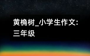 黃桷樹(shù)_小學(xué)生作文:三年級(jí)