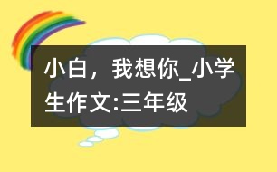 小白，我想你_小學生作文:三年級