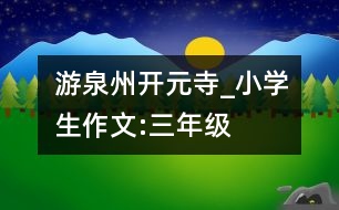 游泉州開元寺_小學(xué)生作文:三年級