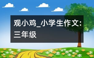 觀小雞_小學生作文:三年級