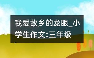 我愛(ài)故鄉(xiāng)的龍眼_小學(xué)生作文:三年級(jí)