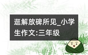 逛解放碑所見_小學生作文:三年級