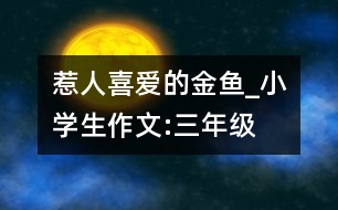 惹人喜愛的金魚_小學(xué)生作文:三年級