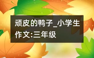 頑皮的鴨子_小學生作文:三年級