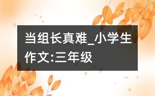 當(dāng)組長(zhǎng)真難_小學(xué)生作文:三年級(jí)
