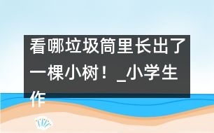 看哪垃圾筒里長(zhǎng)出了一棵小樹(shù)！_小學(xué)生作文:三年級(jí)