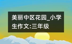 美麗中區(qū)花園_小學生作文:三年級