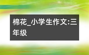 棉花_小學(xué)生作文:三年級(jí)