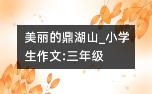 美麗的鼎湖山_小學(xué)生作文:三年級