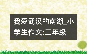 我愛武漢的南湖_小學生作文:三年級