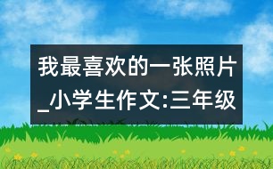 我最喜歡的一張照片_小學生作文:三年級