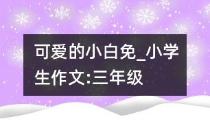 可愛的小白免_小學(xué)生作文:三年級