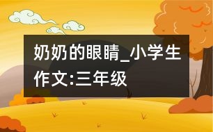 奶奶的眼睛_小學(xué)生作文:三年級(jí)