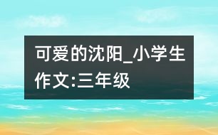 可愛的沈陽_小學生作文:三年級
