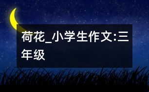 荷花_小學生作文:三年級