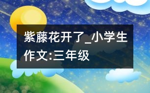 紫藤花開了_小學(xué)生作文:三年級(jí)