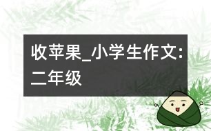 收蘋果_小學生作文:二年級