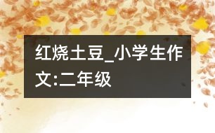 紅燒土豆_小學生作文:二年級