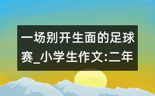 一場(chǎng)別開(kāi)生面的足球賽_小學(xué)生作文:二年級(jí)