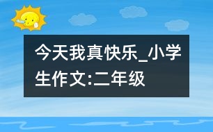 今天我真快樂_小學(xué)生作文:二年級(jí)