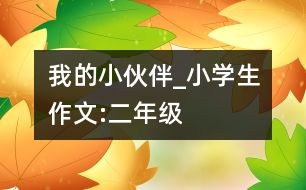 我的小伙伴_小學生作文:二年級