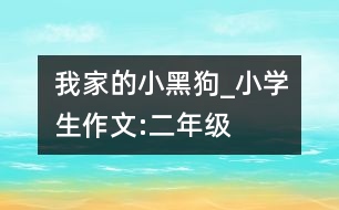 我家的小黑狗_小學生作文:二年級