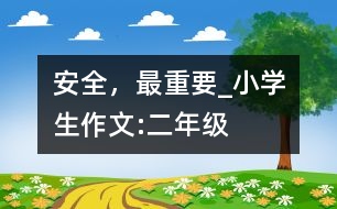 安全，最重要_小學(xué)生作文:二年級